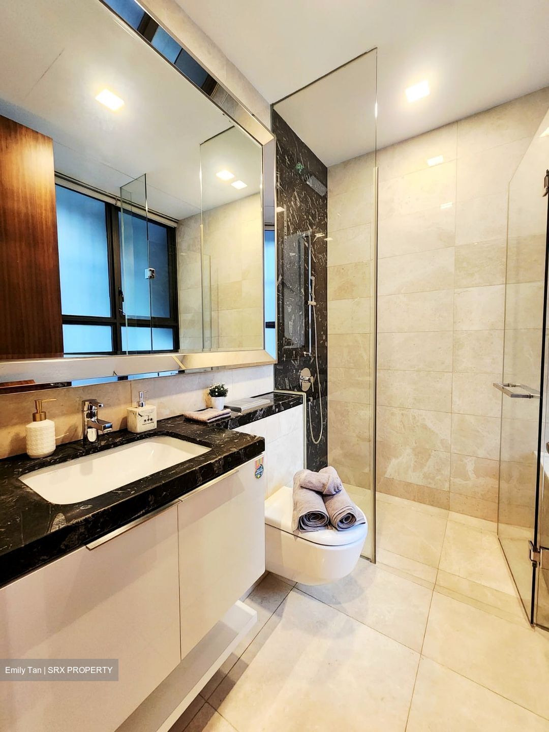 One Balmoral (D10), Condominium #479285291